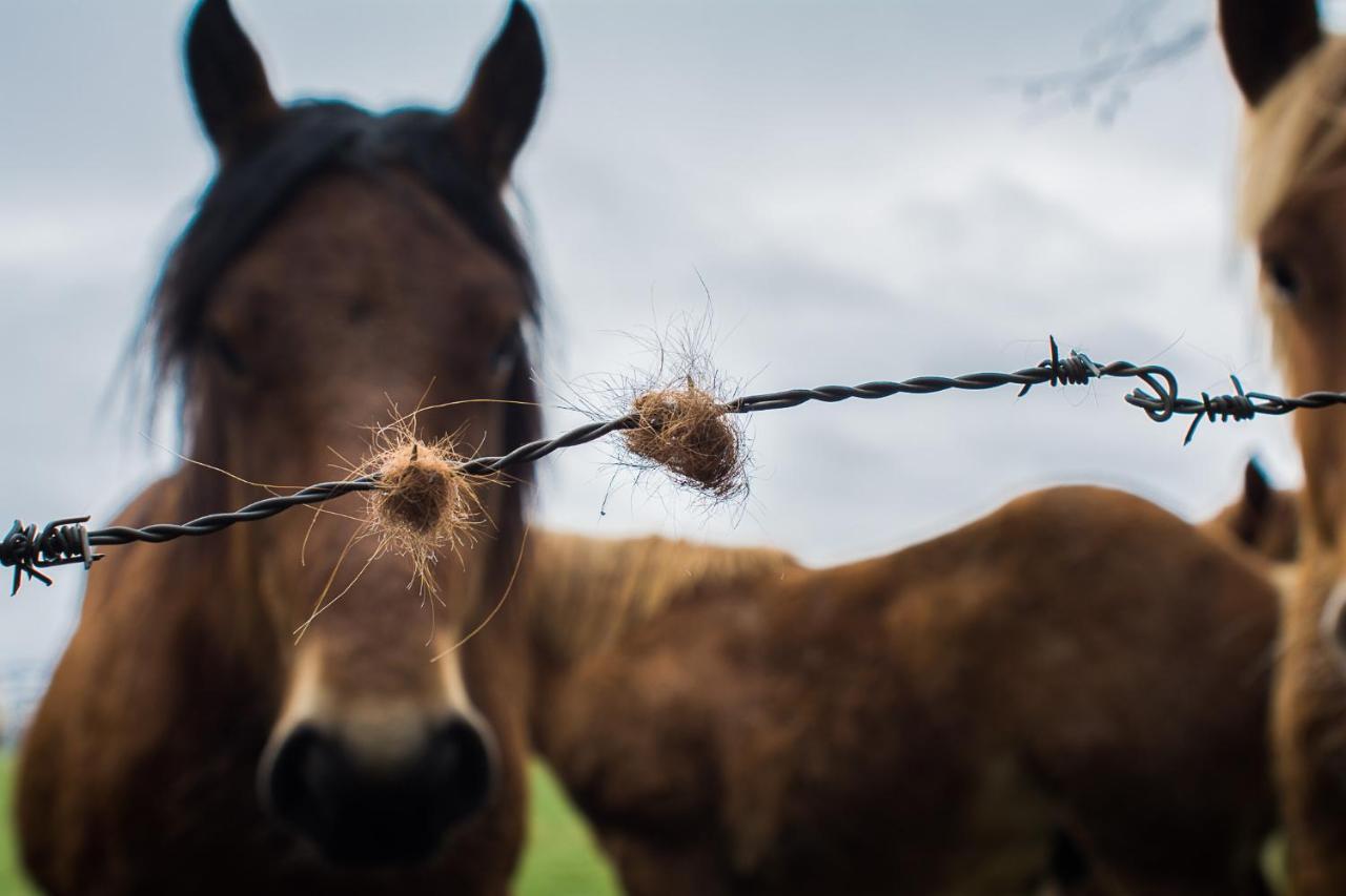 Lorentx Aterpea Burguete Exteriér fotografie